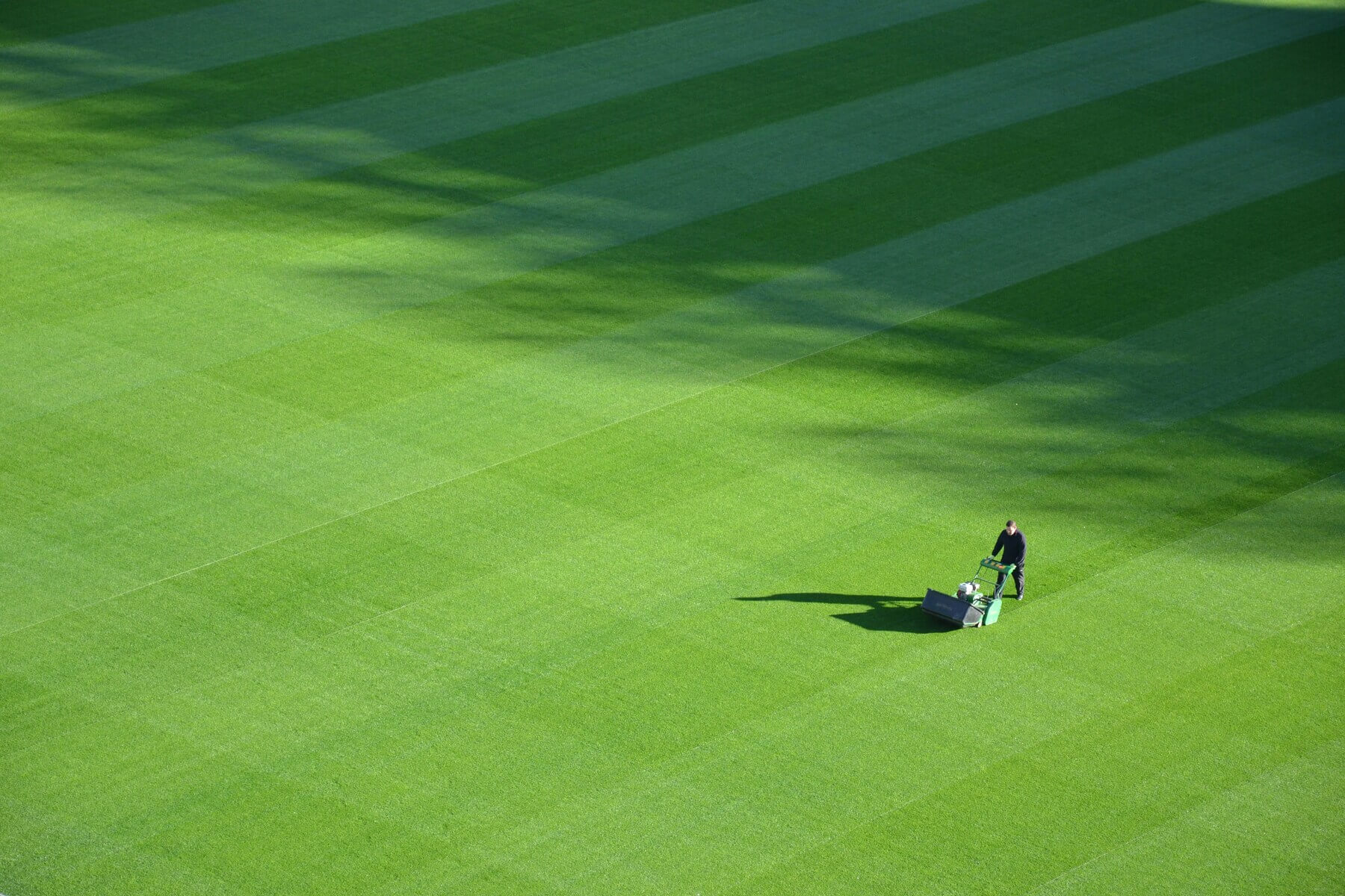 A person mowing grass, FIFA World Cup 2026